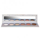 Technic Shade Shifter Palette