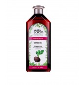 Venita Bio Natural Care Σαμπουάν Αναγεννητικό με Λιναρόσπορο 300ml